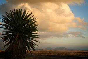 Photo by John Jennings