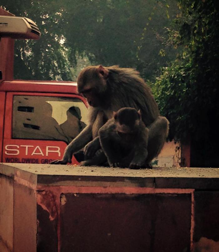 Delhi, India January 2014