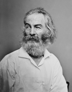 Walt Whitman as photographed by Mathew Brady