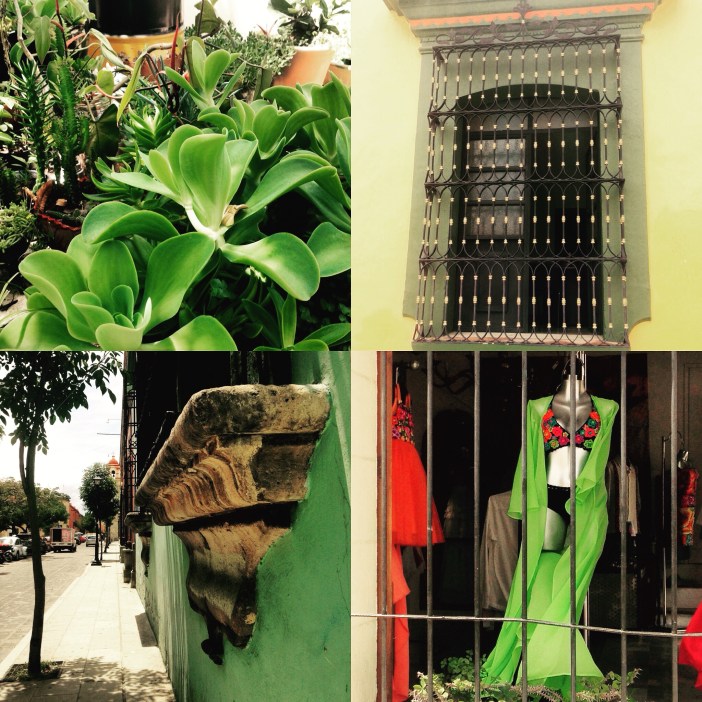 Oaxaca, Mexico August 2015