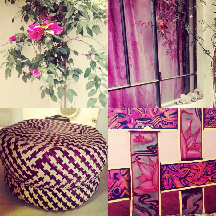 Scenes from Oaxaca August 2015