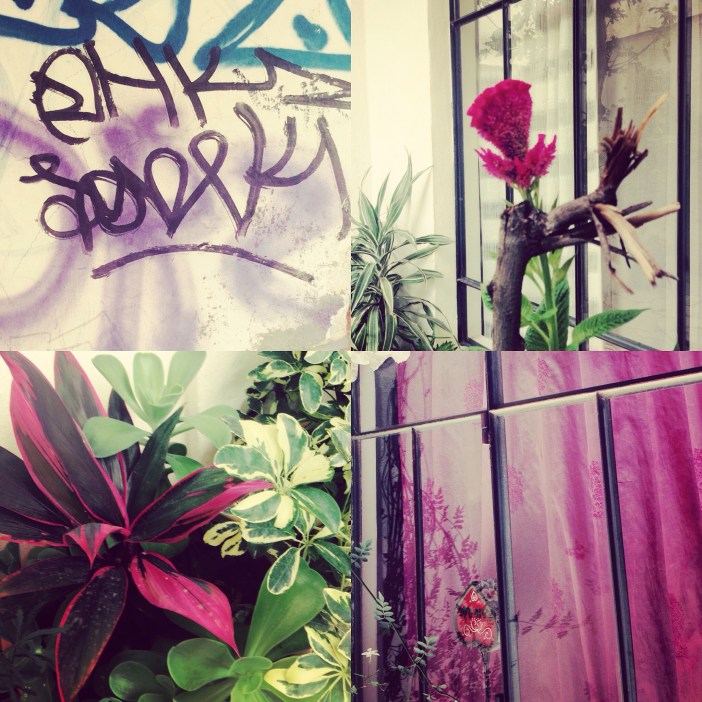 Scenes from Oaxaca August 2015 